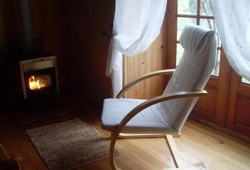 スタンダードルーム, Zapato Amarillo Bed & Breakfast