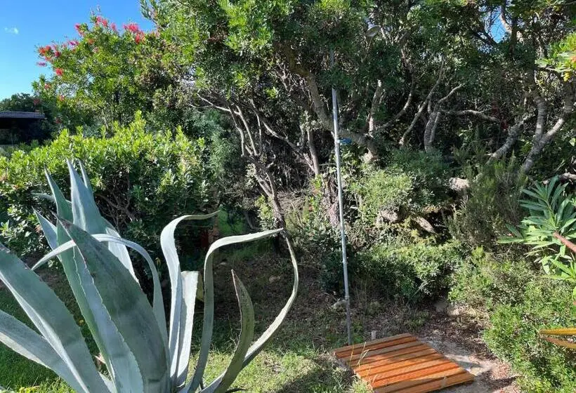 Talo 2 Makuuhuonetta, Porto Coda Cavallo Salina Bamba