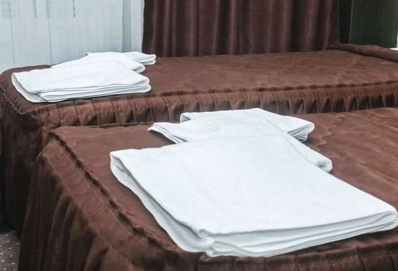 חדר אקונומי, Altay