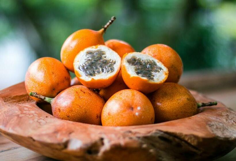 スタンダードシングルルーム, Casa Vallecaucana