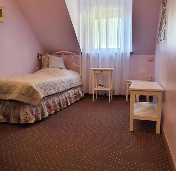 이코노미 싱글 룸, Wojto