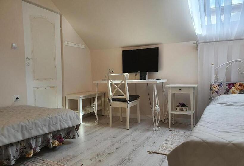 스탠다드 룸, Wojto