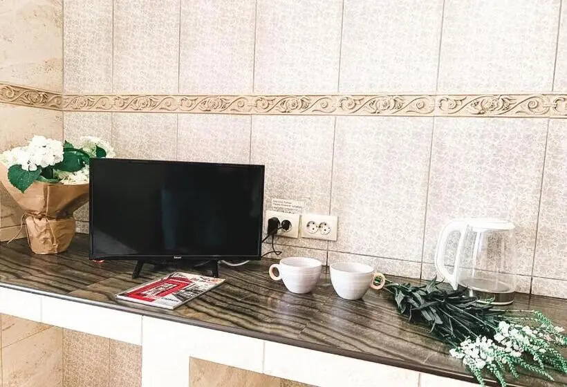 اتاق کلاسیک سه تخته, Pechersk House