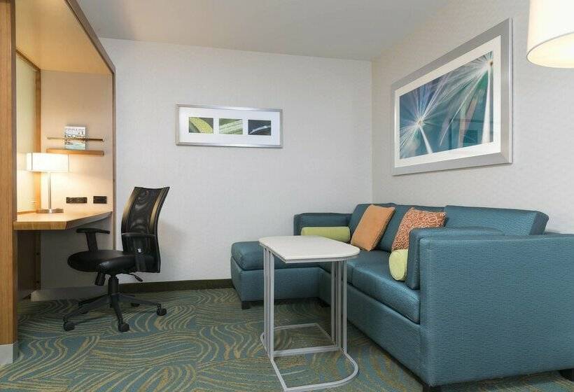 套房, Springhill Suites By Marriott Chicago Southeast/munster, In