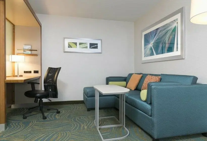 スイート, Springhill Suites By Marriott Chicago Southeast/munster, In