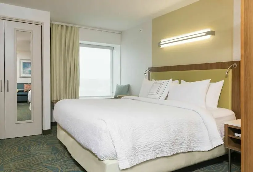 スイート, Springhill Suites By Marriott Chicago Southeast/munster, In