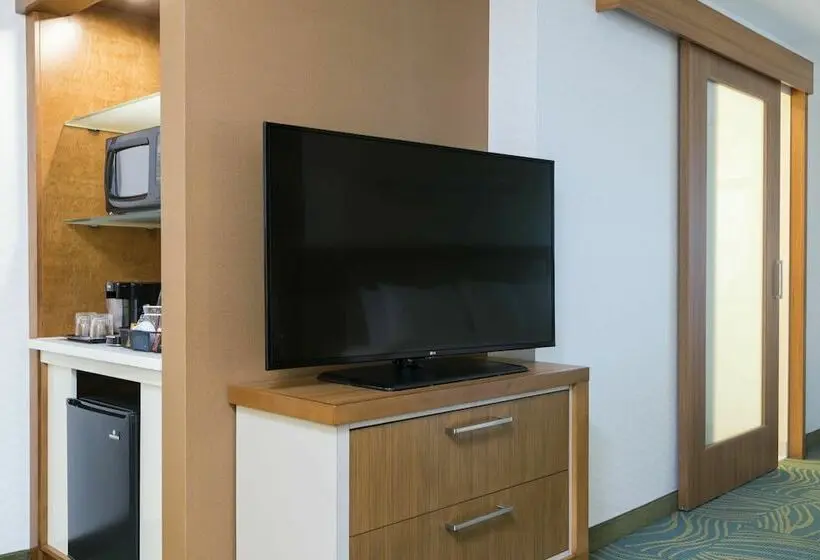 スイート, Springhill Suites By Marriott Chicago Southeast/munster, In