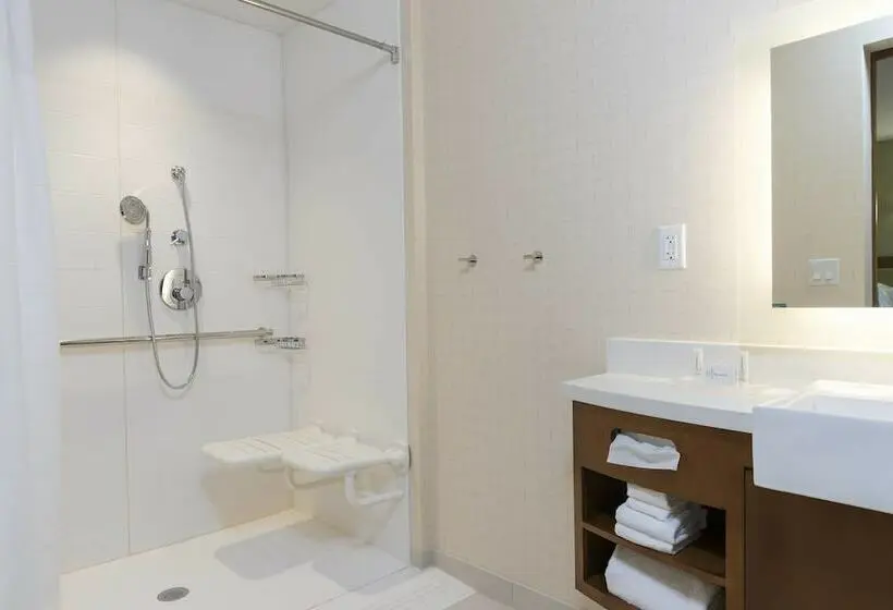 スイート, Springhill Suites By Marriott Chicago Southeast/munster, In
