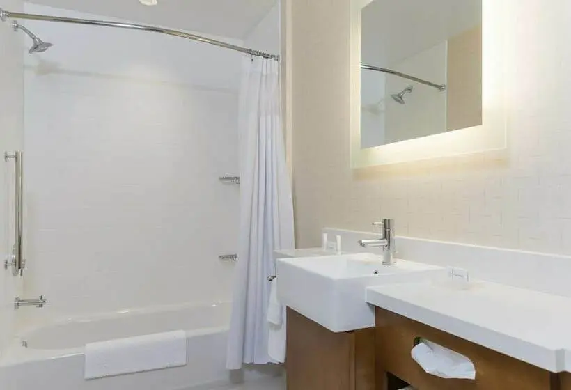 スイート, Springhill Suites By Marriott Chicago Southeast/munster, In