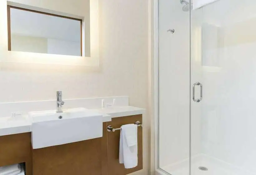 スイート, Springhill Suites By Marriott Chicago Southeast/munster, In