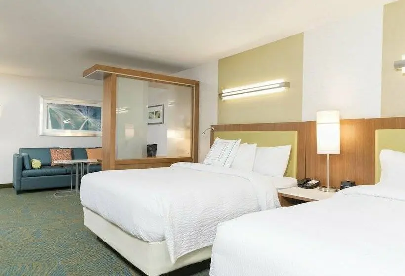 スイート, Springhill Suites By Marriott Chicago Southeast/munster, In