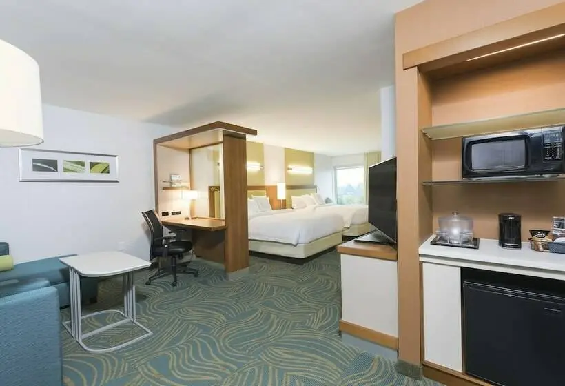 スイート, Springhill Suites By Marriott Chicago Southeast/munster, In