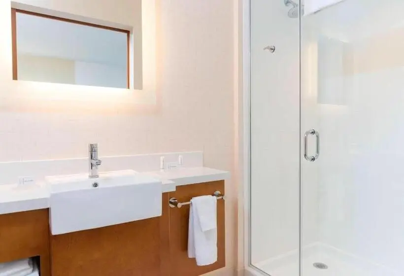 キングサイズベッドのスイートルーム, Springhill Suites By Marriott Chicago Southeast/munster, In