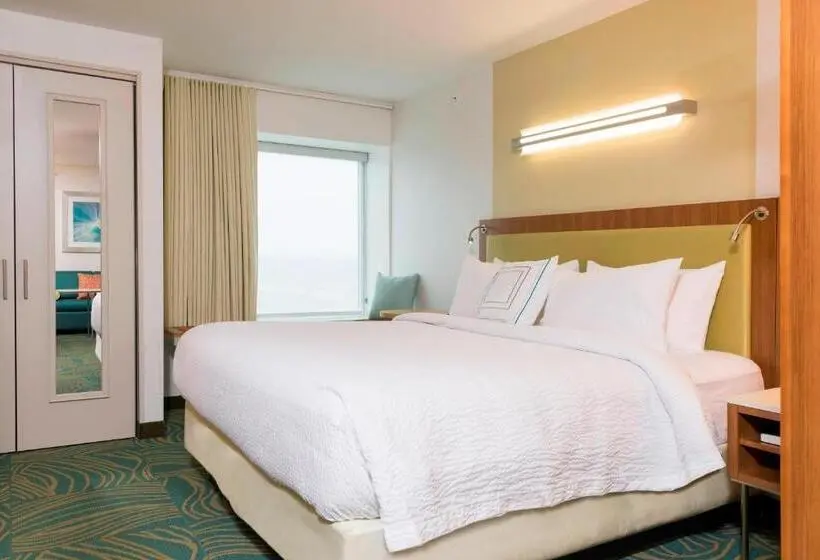 キングサイズベッドのスイートルーム, Springhill Suites By Marriott Chicago Southeast/munster, In