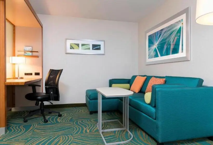 キングサイズベッドのスイートルーム, Springhill Suites By Marriott Chicago Southeast/munster, In