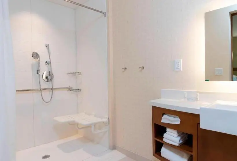スイート, Springhill Suites By Marriott Chicago Southeast/munster, In