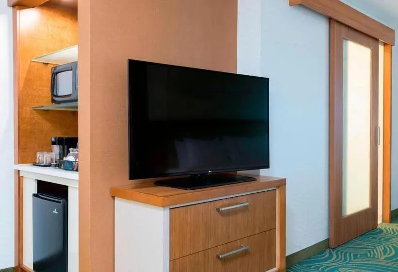 スイート, Springhill Suites By Marriott Chicago Southeast/munster, In