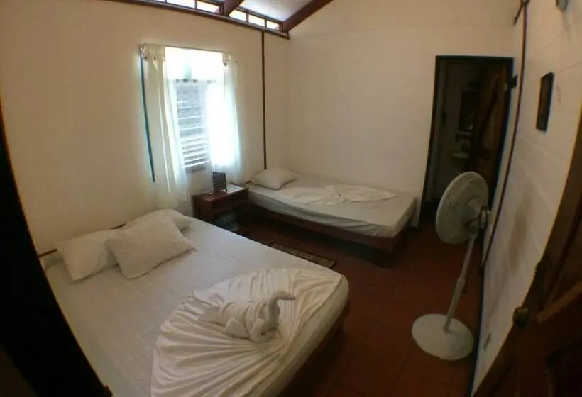اتاق اکونومی, Casa Marbella