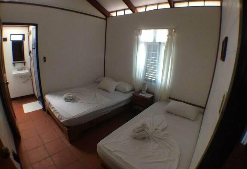 اتاق اکونومی, Casa Marbella