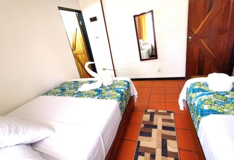 اتاق اکونومی, Casa Marbella