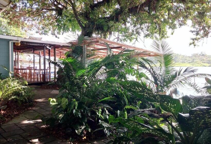 اتاق استاندارد سه تخته با چشمانداز, Casa Marbella