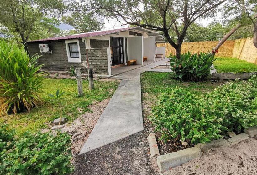 اتاق لوکس, Happy Forest B&b