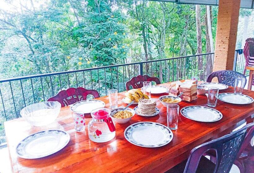 סוויטה משפחתית, Ella South Star