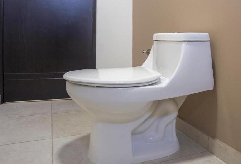 Quarto Estandar, Smart Hotel Monterrey