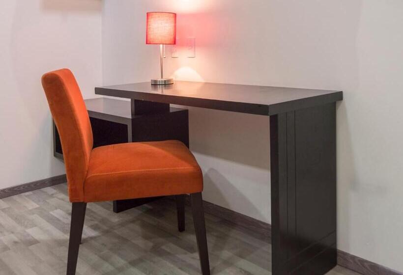 Quarto Estandar, Smart Hotel Monterrey