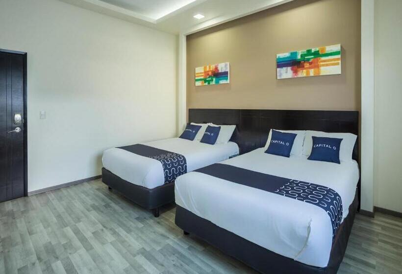 Quarto Estandar, Smart Hotel Monterrey