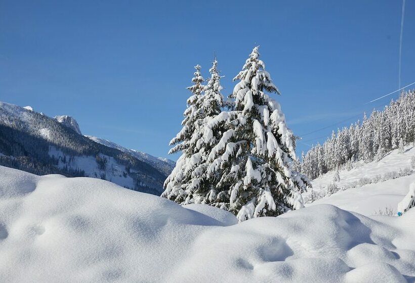 Семейный Номер, Almhof Family Und Wellness Resort