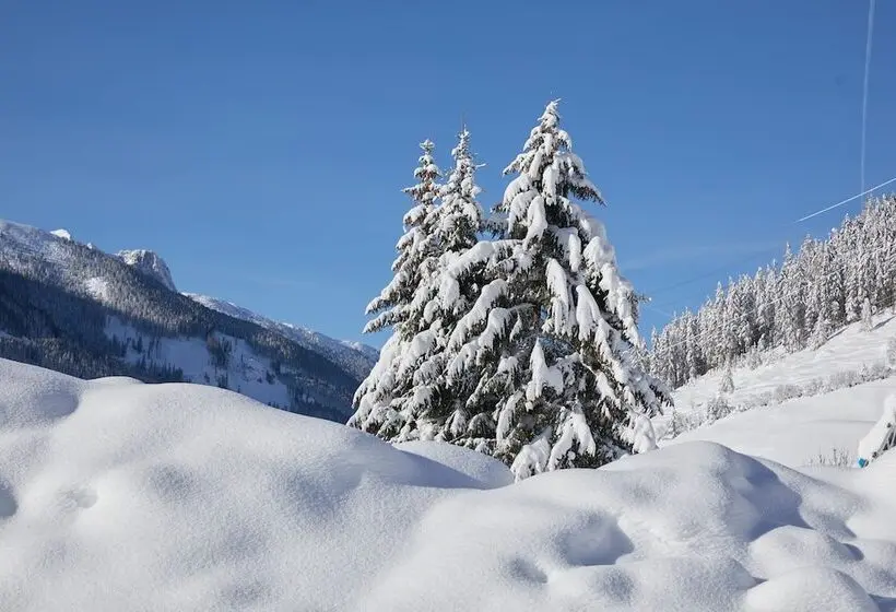 テラス付スイート, Almhof Family Und Wellness Resort