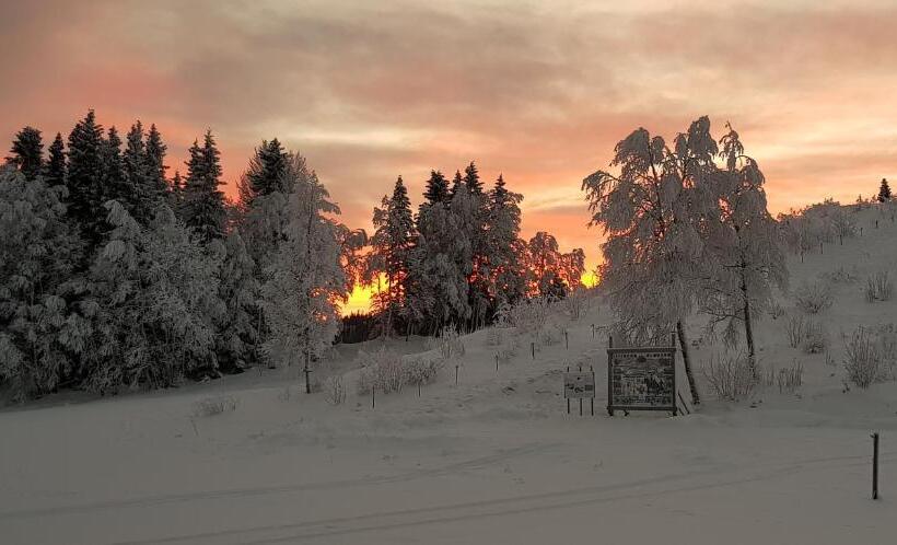 Номер Стандарт Совместная Ванная, Millestgården Eco Lodge