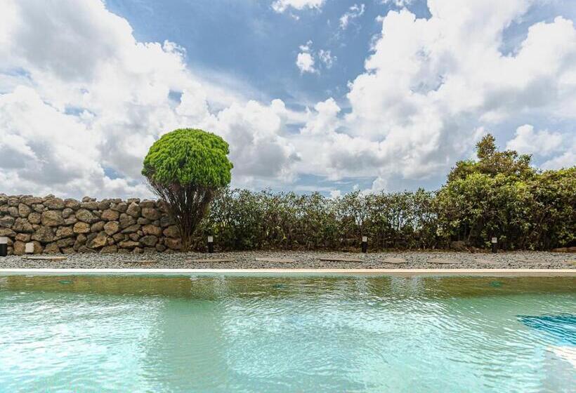 חדר סטנדרט נוף לים עם מרפסת, Boutique Pool Villa Namib