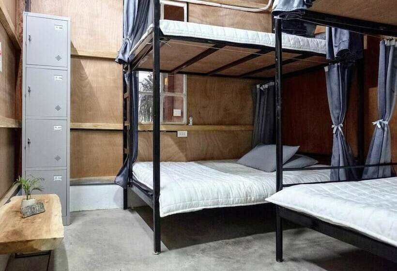 تختخواب در اتاق مشترک, Jasmine Hostel