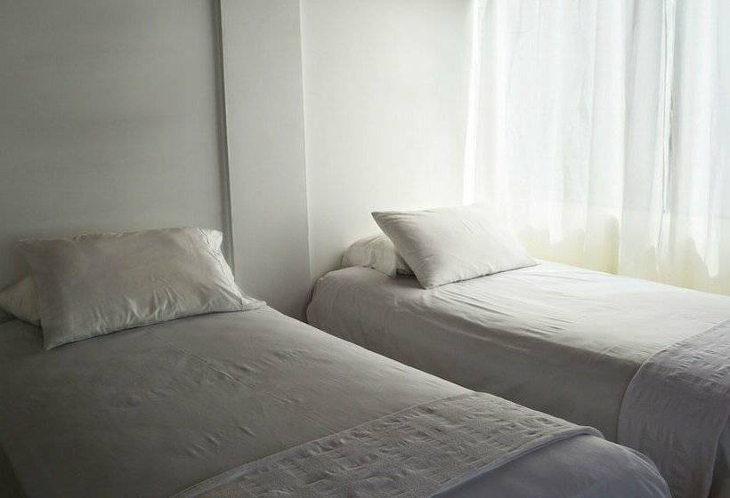 Номер Стандарт, Amazonas Real