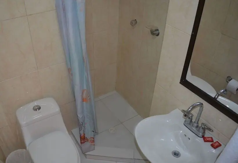 Chambre Triple Standard, Amazonas Real