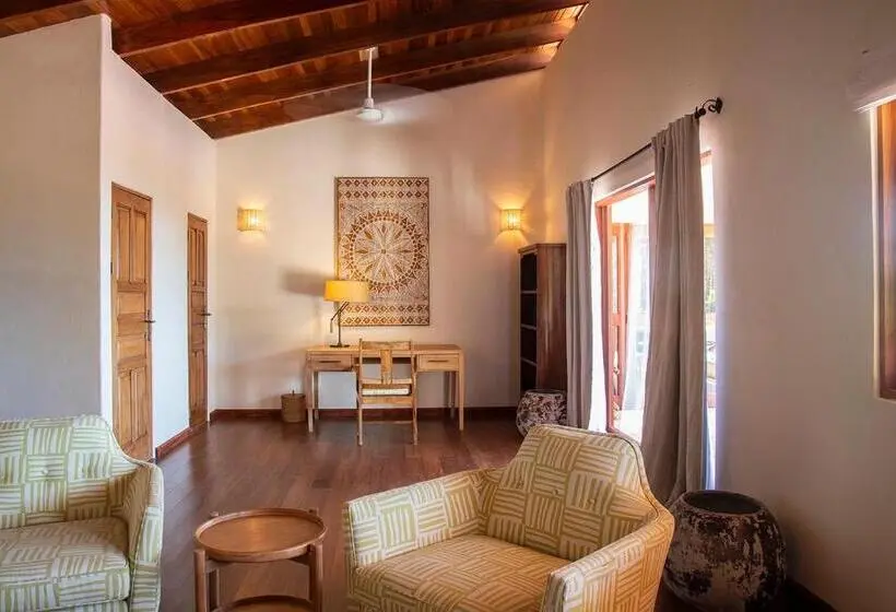 سوئیت مستر, Tierra Magnifica Boutique