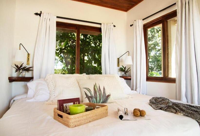 带大床的标准间, Tierra Magnifica Boutique