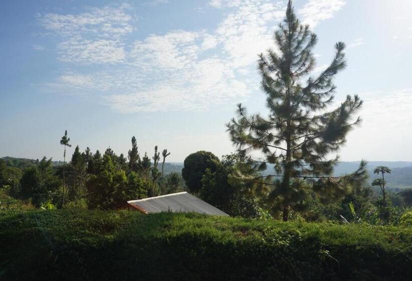 اتاق استاندارد یک نفره, Masaka Backpackers, Tourists Cottage & Campsite