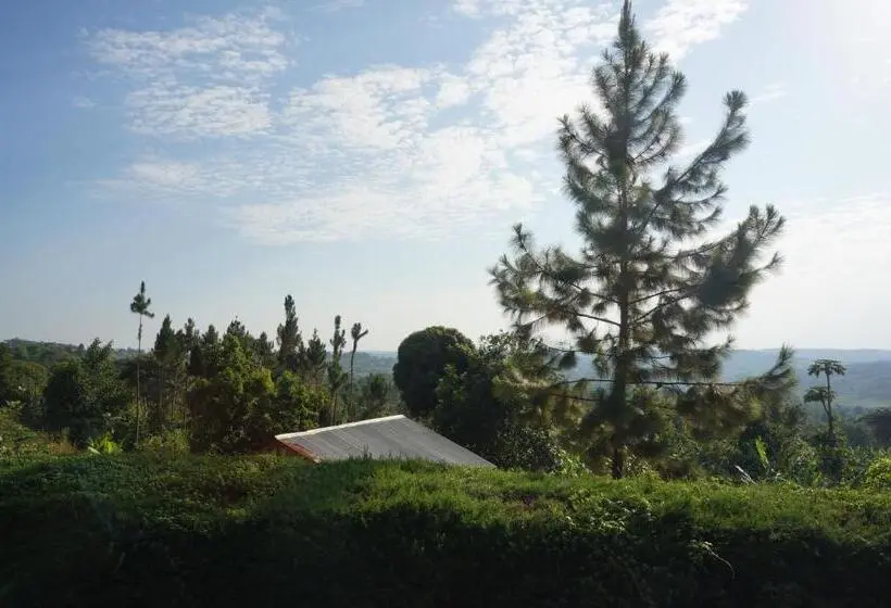 اتاق استاندارد یک نفره, Masaka Backpackers, Tourists Cottage & Campsite
