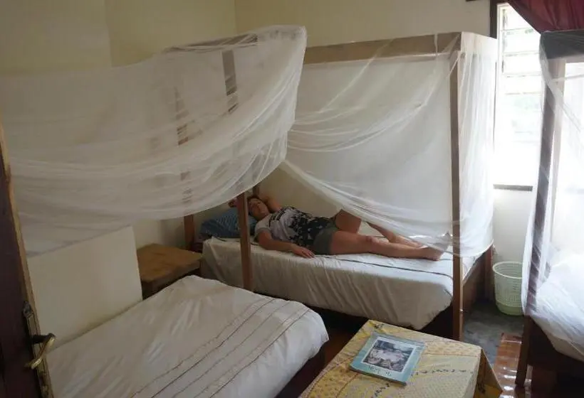 اتاق استاندارد, Masaka Backpackers, Tourists Cottage & Campsite
