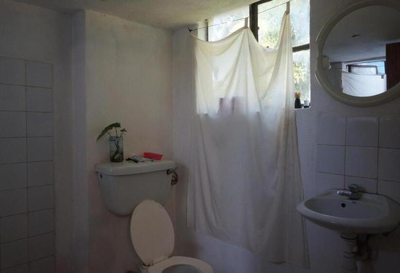 اتاق لوکس, Masaka Backpackers, Tourists Cottage & Campsite