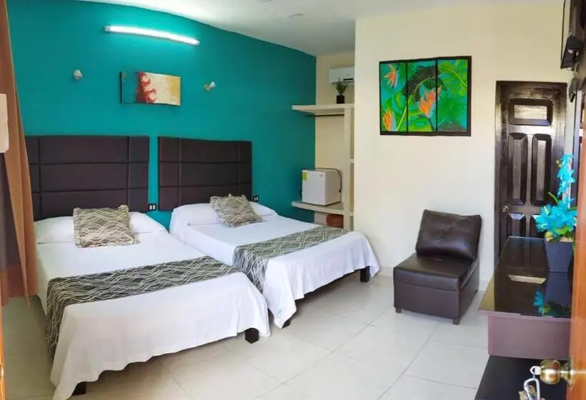 Quarto standard, San Miguel