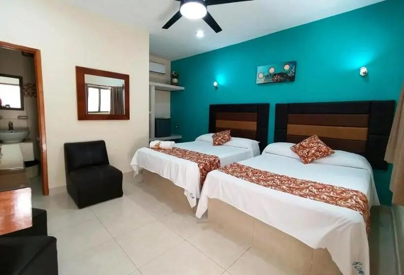 Quarto standard, San Miguel