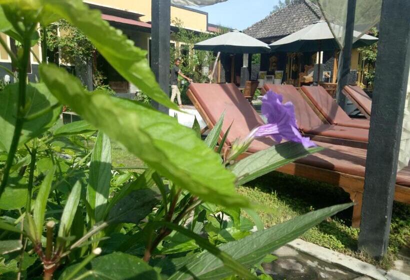 מיטה בחדר משותף, Bunbulan Hill Hostel And Cottage