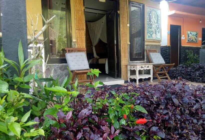 חדר סטנדרט חדר אמבטיה משותף, Bunbulan Hill Hostel And Cottage