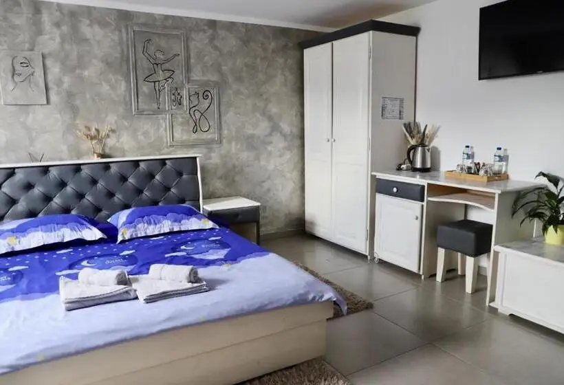 スーペリアールーム, Cazare Moldi   Regim Hotelier