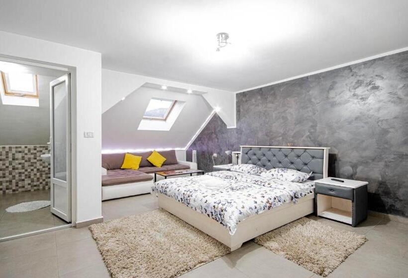 اتاق سوپریور, Cazare Moldi   Regim Hotelier