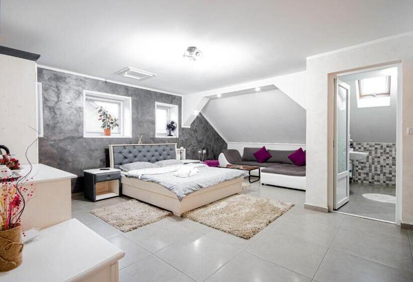 اتاق لوکس, Cazare Moldi   Regim Hotelier